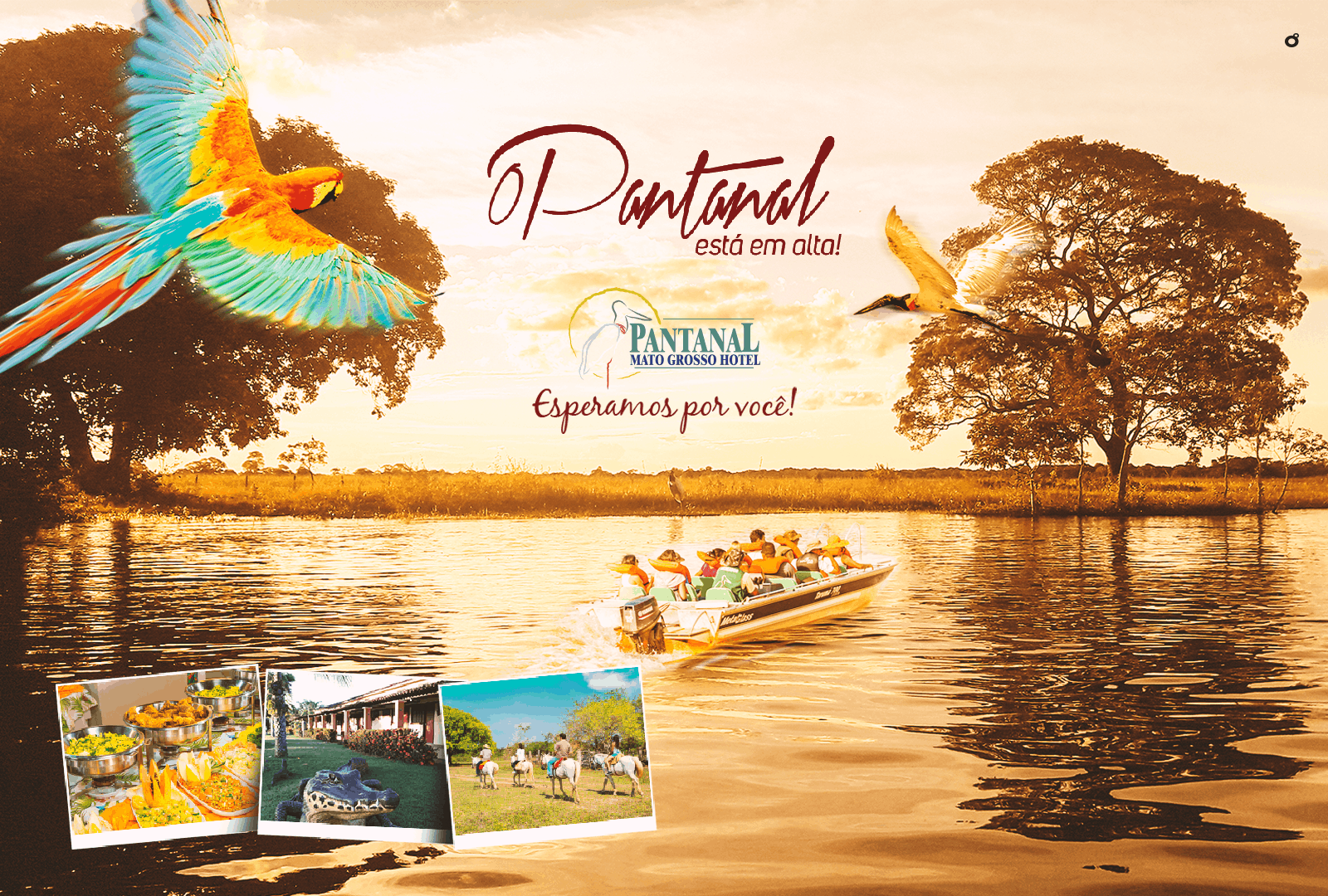 Alta Temporada do Pantanal