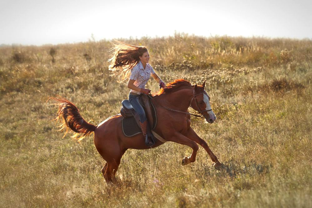 A cavalo, no Pantanal