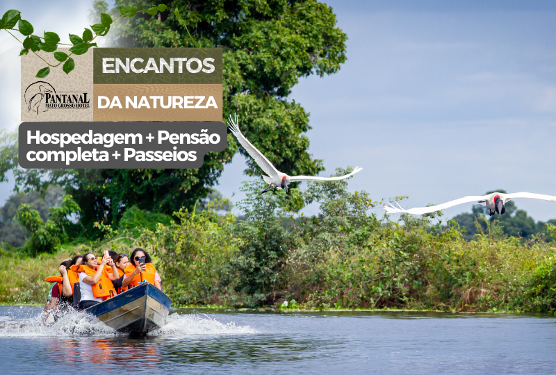 O Pantanal espera por você